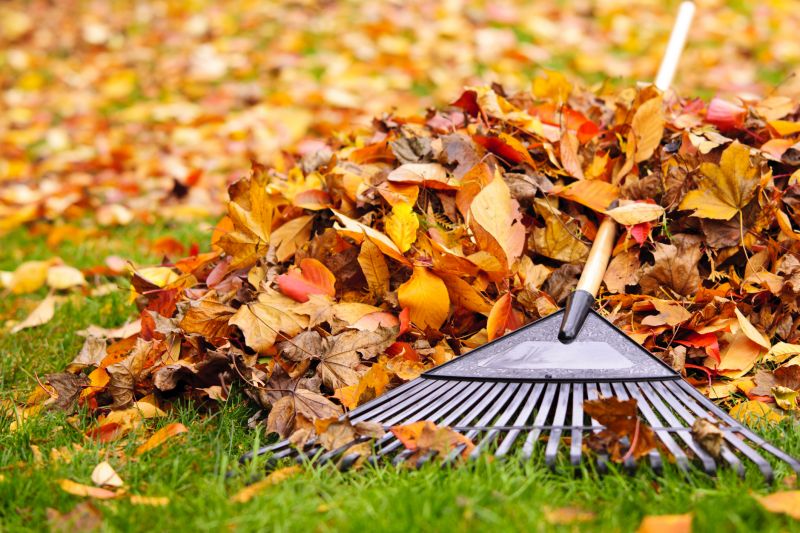 Clean Fall Lawn with Raking