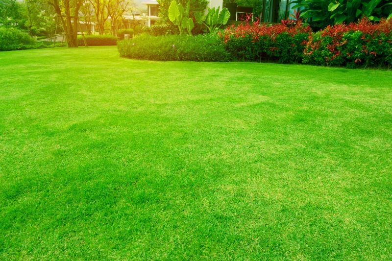 Lawn Care Maintenance