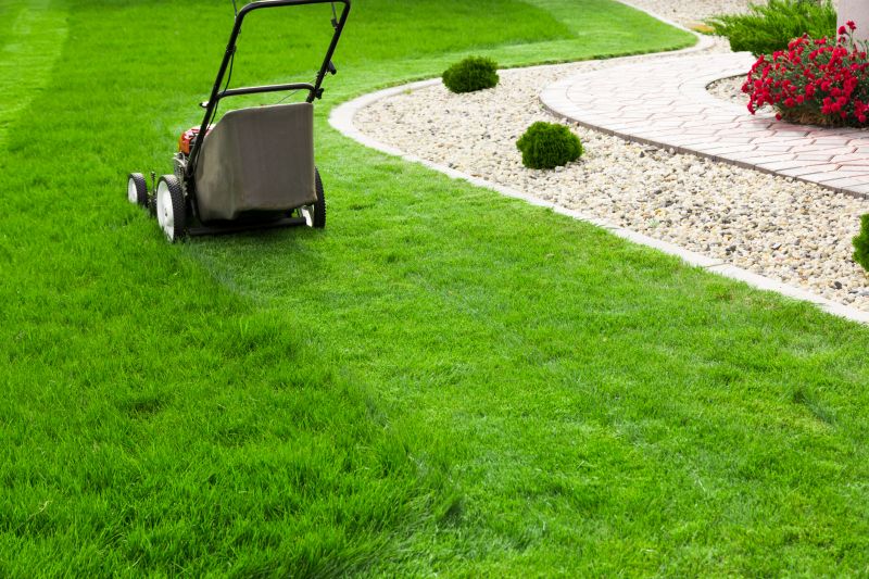 Lawn Care Maintenance