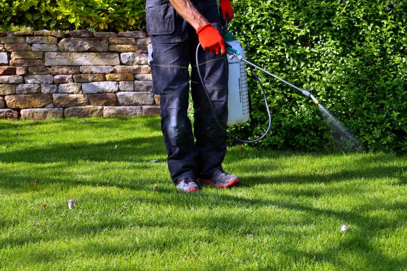 Weed Prevention Service in Aiken, SC