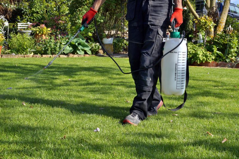 Weed Spraying in Aiken, SC