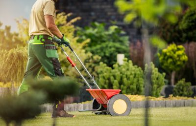 Yard Improvement Service in Ventura County, CA