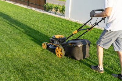 Healthier Grass