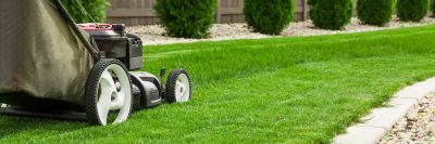 Enjoy Your Yard